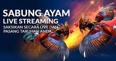 Sabung Ayam Online